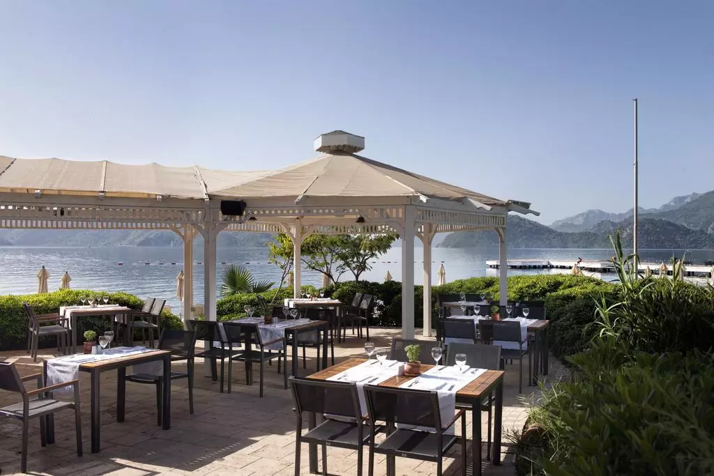 GRANAZUR19_SHABAVIZPARVAZ.jpg