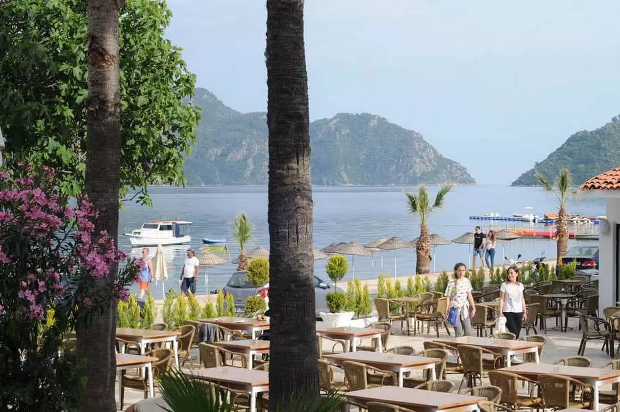 LUNABEACH11_SHABAVIZ.jpg LUNABEACH11_SHABAVIZ.jpg