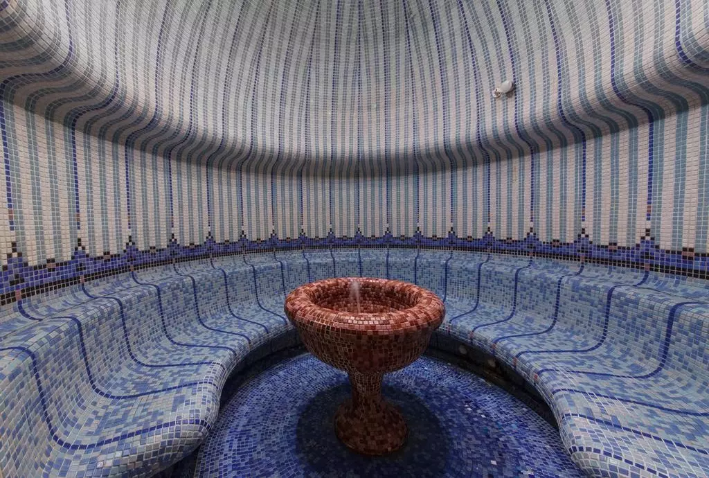 azalia_varna_shabavizparvaz_07.jpg azalia_varna_shabavizparvaz_07.jpg