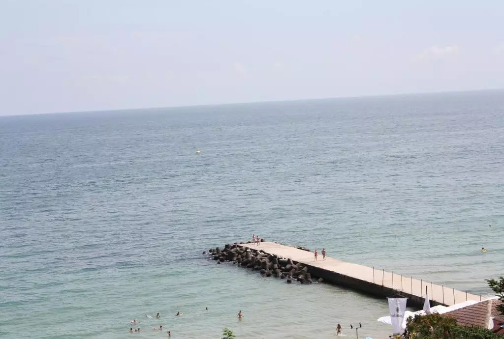 bonita_varna_shabavizparvaz_07.jpg bonita_varna_shabavizparvaz_07.jpg