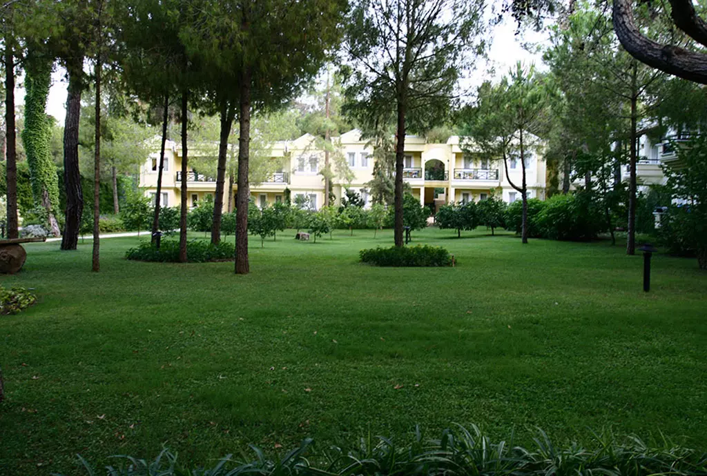 club_zigana_shabavizparvaz_07.jpg