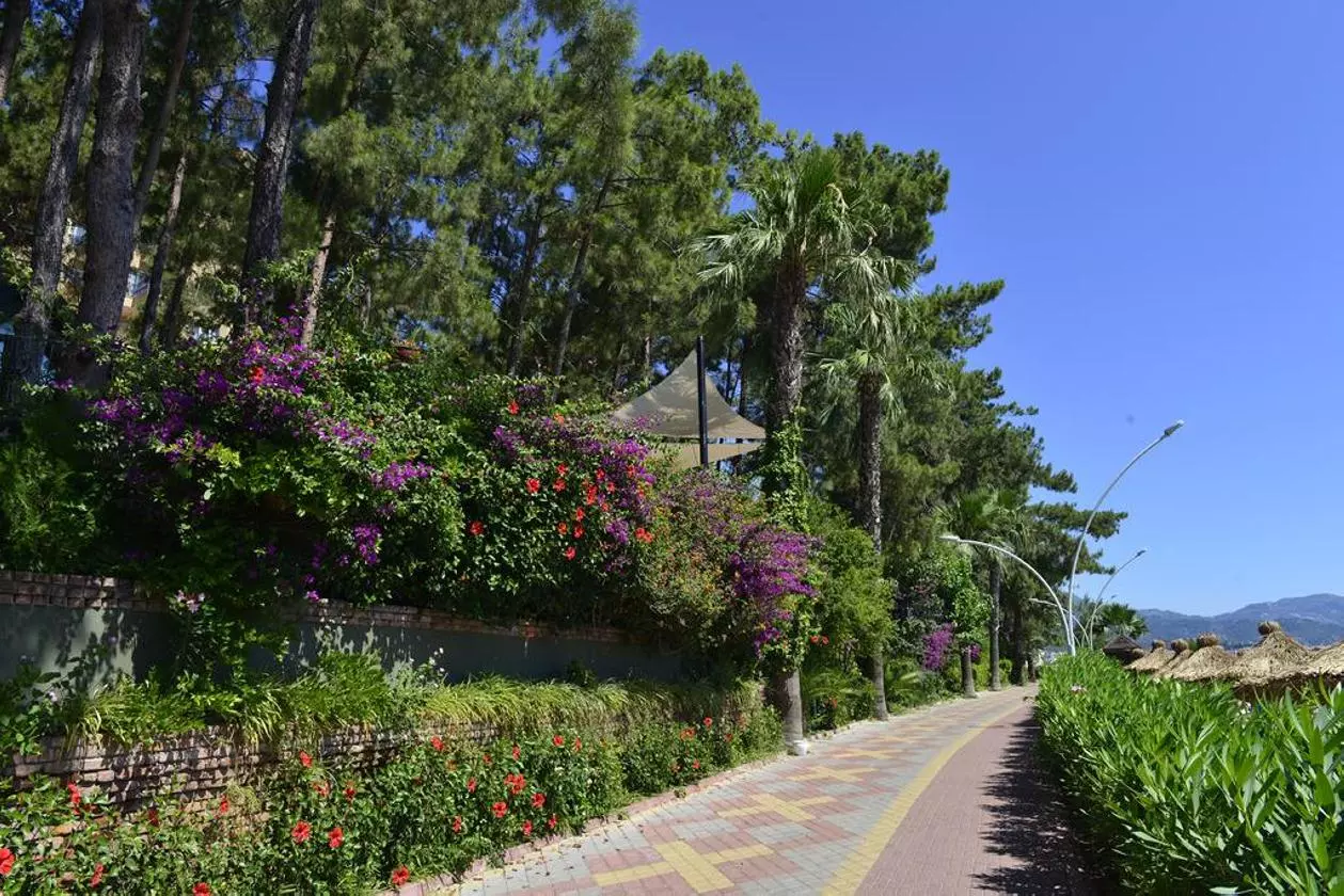 marmarispalace10_shaabviz.jpg marmarispalace10_shaabviz.jpg