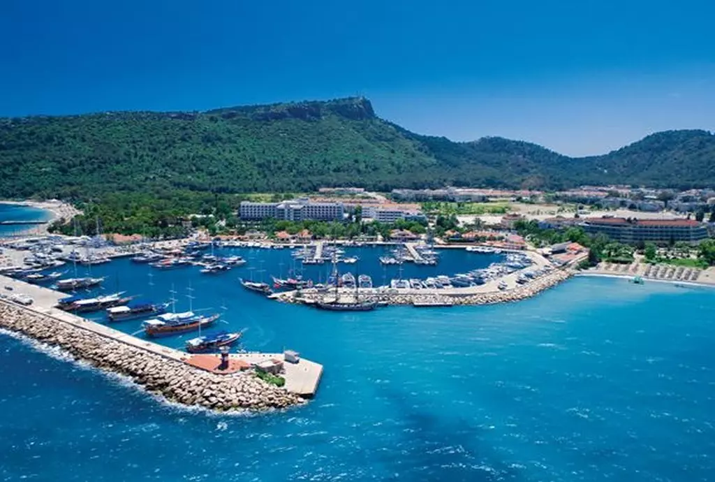 palmet_turkiz_marina_shabavizparvaz_02.jpg