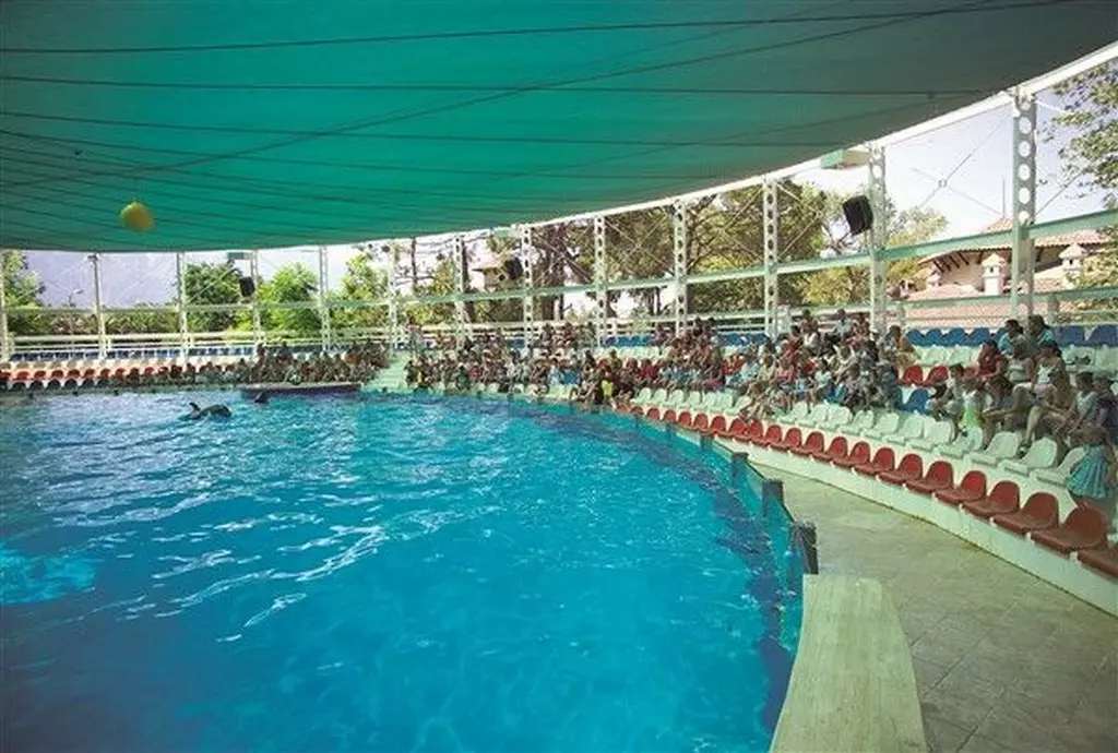 palmet_turkiz_marina_shabavizparvaz_14.jpg