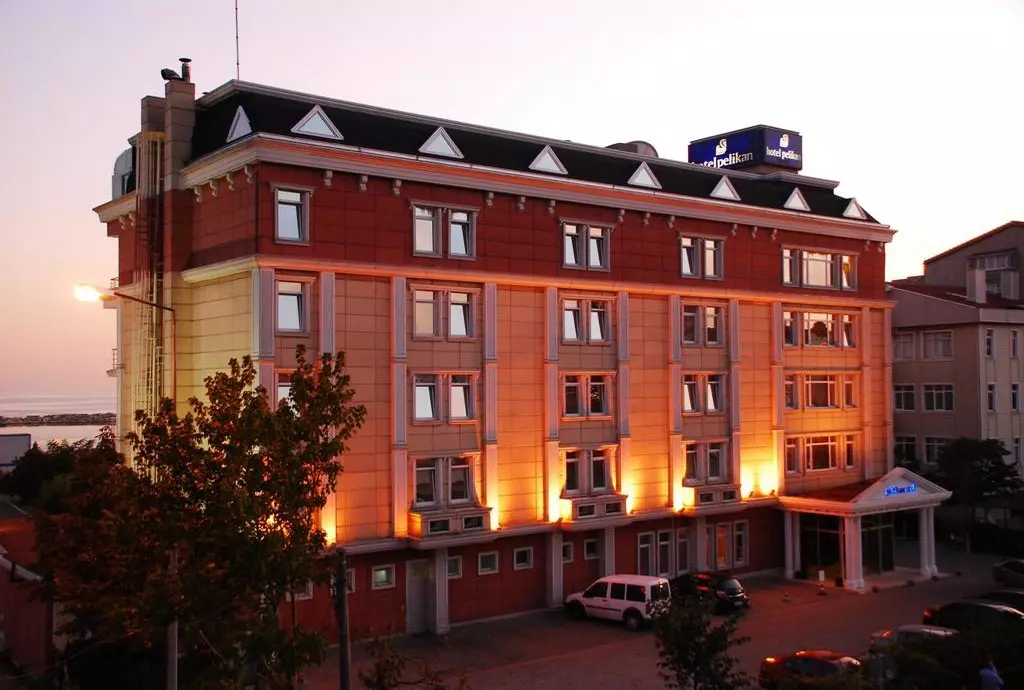 pelikan_istanbul_shabavizparvaz_01.jpg