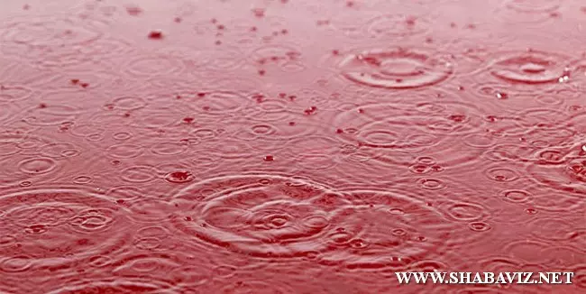 red_rain_india_shabaviz.net0003.jpg