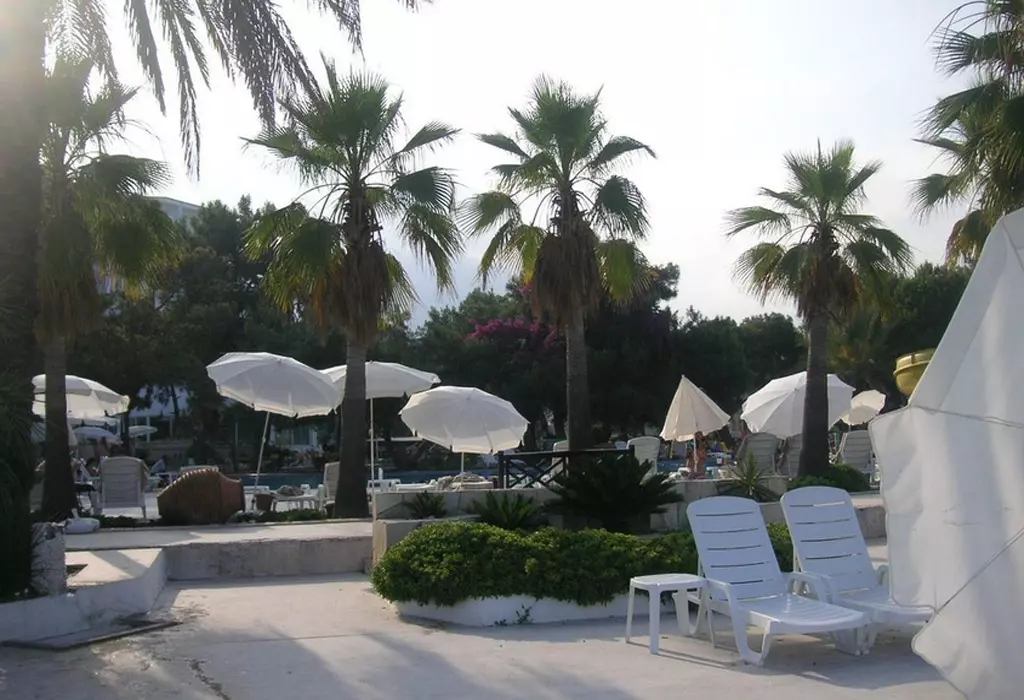 royal_palm_shabavizparvaz_09.jpg