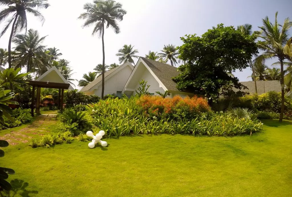 w_goa_shabavizparvaz_13.jpg w_goa_shabavizparvaz_13.jpg