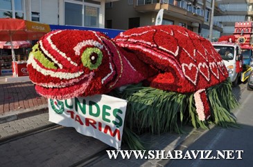 antalya_farmer_shabaviz.net002 antalya_farmer_shabaviz.net002