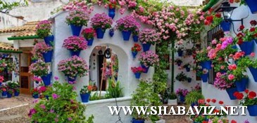 antalya_farmer_shabaviz.net003 antalya_farmer_shabaviz.net003