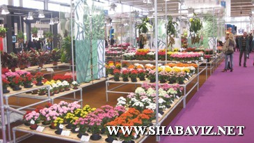 antalya_farmer_shabaviz.net014 antalya_farmer_shabaviz.net014