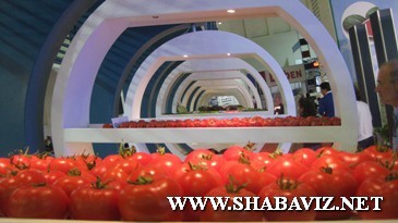 antalya_farmer_shabaviz.net015 antalya_farmer_shabaviz.net015